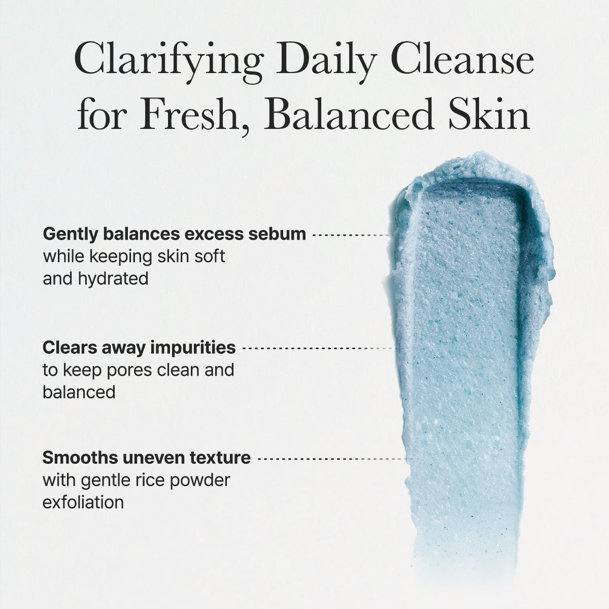 Fresh Blue Hyssop Rice Mochi Cleanser - Oil Control