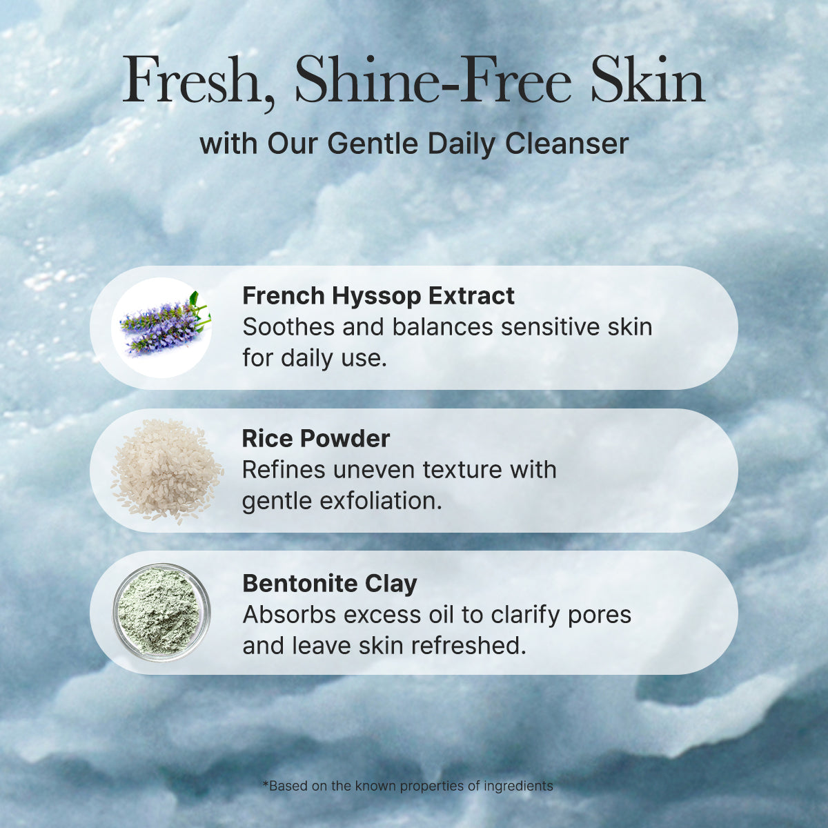 Fresh Blue Hyssop Rice Mochi Cleanser - Oil Control